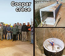 Diario EL PAIS – Coopar – 12 de Junio 2011